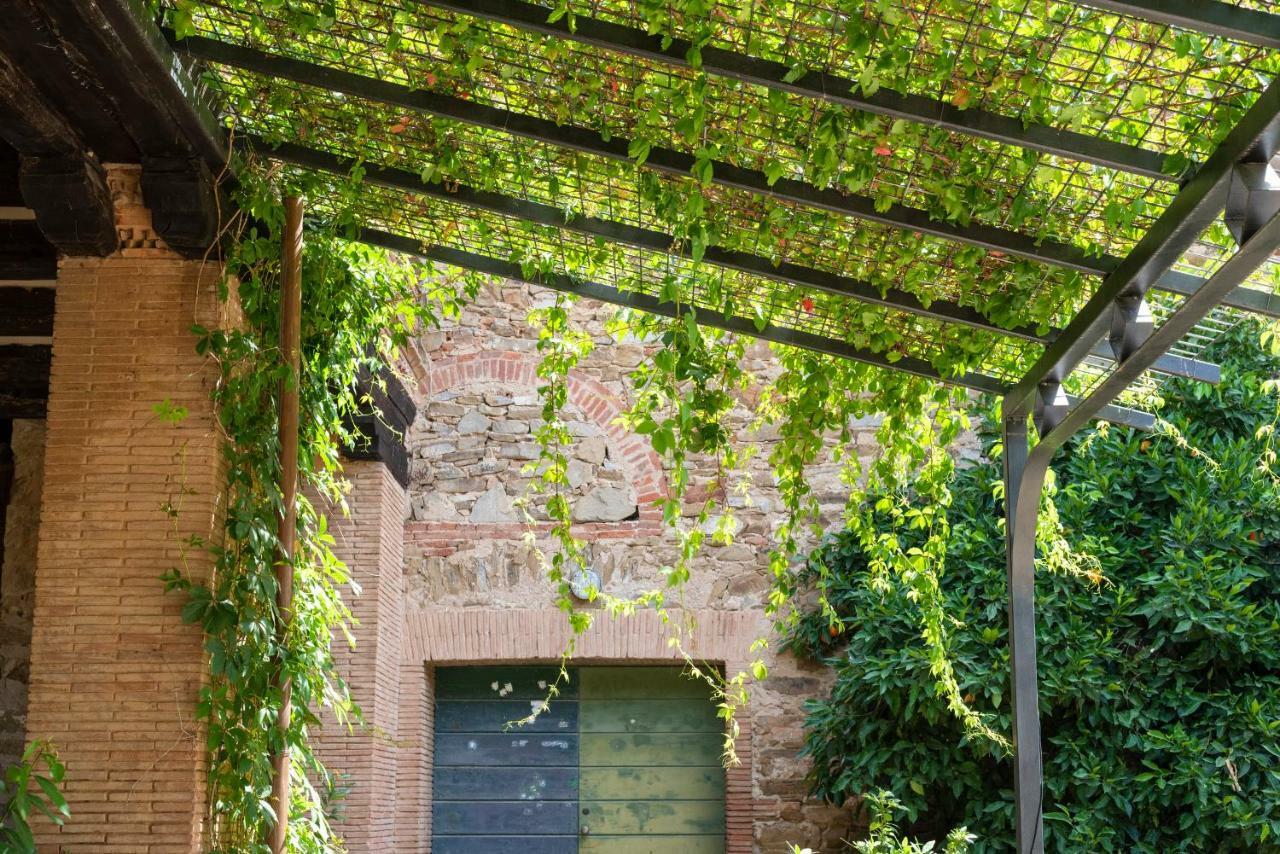 Bed and Breakfast Fattoria Pian Di Rocca Castiglione della Pescaia Exteriér fotografie